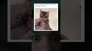 Who here is an early bird🤔😂funny memes cat fyp shorts [upl. by Otrevire]