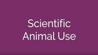 Scientific Animal Use [upl. by Espy572]