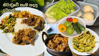 එක සුපිරි කෑමකින් සතියම ගොඩ දා ගත් හැටි 🤭 What I made For Lunch  Healthy Lunch  Bandifull Vlogs [upl. by Alidis]