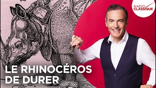 Franck Ferrand raconte  Le rhinocéros de Durer récit intégral [upl. by Melloney]