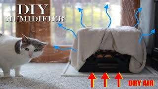 Best Humidifier for Dry Air Bedroom  Homemade and Free [upl. by Petula]