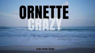 Ornette  Crazy Ilkay Sencan Afro Remix [upl. by Lorrimer527]