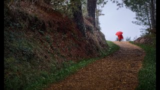 Camino de Santiago Portomarin  Palas de Rei [upl. by Concordia]