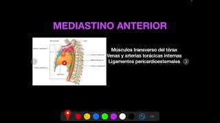 ANATOMIA DEL MEDIASTINO [upl. by Terpstra]