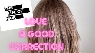 Reverse Balayage Technique  Colour Correction  Toning Hair [upl. by Mou861]