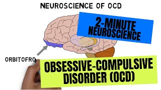 2Minute Neuroscience ObsessiveCompulsive Disorder OCD [upl. by Arley]