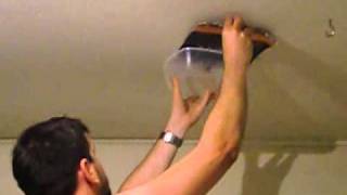 How to catch a Huntsman spider [upl. by Fadil608]