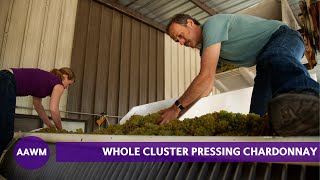 Whole Cluster Pressing for the Finest Chardonnay with Winemaker Fred Scherrer [upl. by Bernarr505]