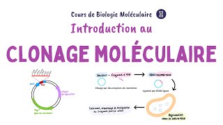 Introduction au clonage moléculaire de lADN [upl. by Dimond]