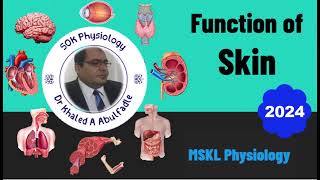 Function of Skin Skin Physiology 12024 by Dr Khaled A Abulfadle [upl. by Rani]