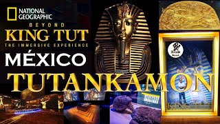 TUTANKAMON  ¡Ultimos Días en CDMX National Geographic  BEYOND KING TUT [upl. by Zaraf]