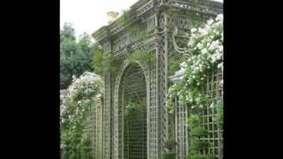 The Palace of VERSAILLES Gardens and fountains Summer 2009 [upl. by Rao408]