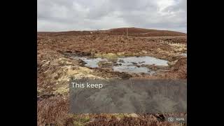 Peatland restoration work at the Llyn Efyrnwy Estate by the RSPB [upl. by Edmon]