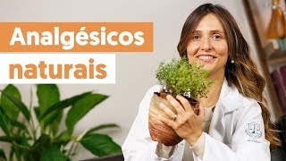 Como aliviar a dor com ANALGÉSICOS NATURAIS [upl. by Aushoj779]