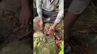 Thats a Really Amazing Rock Hounding Journey 🤩gem gems preciousgem crystal [upl. by Nerraf]