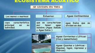 Clases De Ecosistemas [upl. by Marnia651]