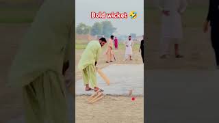 Bold wicket M Pur Cricket Lover 🏏 cricketfan CricketLover332 [upl. by Halihs28]