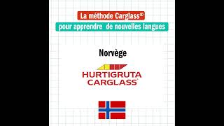 Les slogans Carglass du monde entier  Carglass [upl. by Aiksas393]