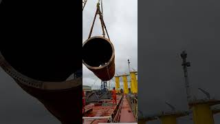 How Stevedoring Process Safe Discharging shorts ytshorts [upl. by Noillimaxam]