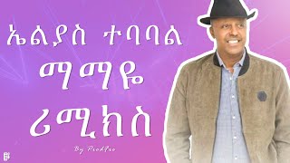 Elias Tebabal X ProdFre  Mamaye  ኤልያስ ተባባል X ፕሮድፍሬ  ማማዬ  New Ethiopian Remix [upl. by Eiger]