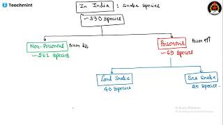 Biology Lecture  Identification of Snakes  Poisonous vs Non poisonous [upl. by Anauqes]