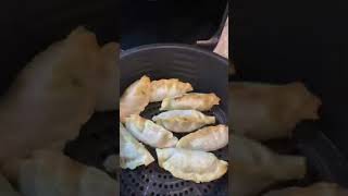 I threw FROZEN dumplings into my AIR fryer [upl. by Yssac]