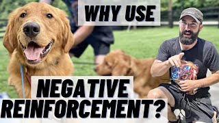 WHY Train With NEGATIVE REINFORCEMENT SIMPLE Breakdown amp Demo [upl. by Koran]