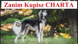 Zanim Kupisz CHARTA [upl. by Analram]