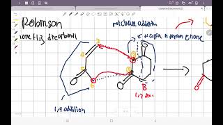 robinson annulation  cara cepat [upl. by Arvonio]