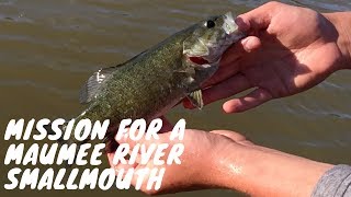 Mission for a Maumee River Smallmouth  feat Fish Fray [upl. by Arraeic504]