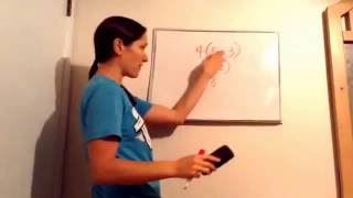 Saxon Math Algebra 1  Lesson 17  Factors amp Coefficients  Terms  Distributive Property [upl. by Hctim796]