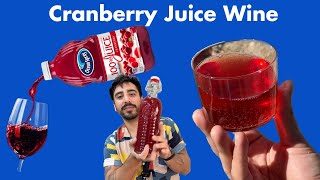 How to Make Cranberry Juice into Sparkling Wine in Less then 60 Seconds🍷 🌊 [upl. by Sirtimed]