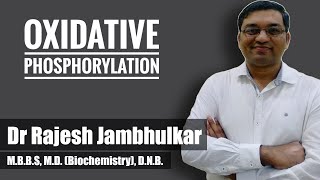 3 Oxidative Phosphorylation and Chemiosmotic hypothesis Biological Oxidation part 2 [upl. by Eelrak]