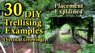 30 DIY Garden Trellising Examples Build Overview Crop Examples amp Placement Strategies [upl. by Cloris]