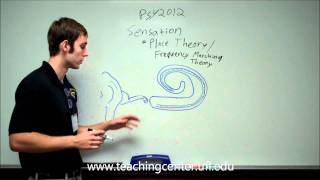 Place Theory and Frequency Matching Theory [upl. by Dace]