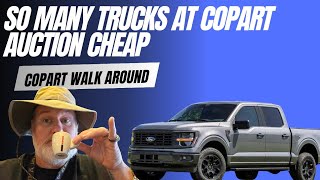 So Many Trucks At Copart Cheap Copart Walk Around [upl. by Ellerad697]