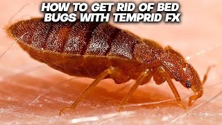 Banishing Bed Bugs with Temprid FX Effective Strategies for Pest Control [upl. by Spanos893]