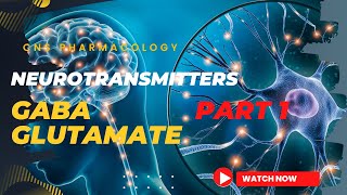 ፋርማኮሎጂ  CNS PHARMACOLOGY  Neurotransmitters in Amharic part 1 [upl. by Naivat]