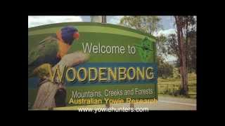 Yowie  Bigfoot Sighting Audio Report 01 in Woodenbong New South Wales [upl. by Nyliac620]