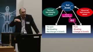 2013 quotBeating the Bloat the FODMAP diet amp IBSquot Central Clinical School public lecture [upl. by Longwood989]