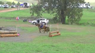 Scone Horse Trials [upl. by Mcgray291]