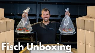 Aquarium Fisch Unboxing [upl. by Villiers]