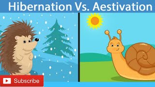 Hibernation vs Aestivation Different between hibernation amp Aestivation [upl. by Cut948]