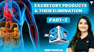 Excretory Products and Their Elimination in 3D  Part  2  NEET 2024  Seep Pahuja [upl. by Azerila]