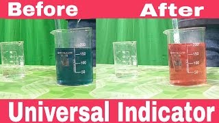 Universal Indicator The best way to test pH of a SolutionExperiment by Anand Mohan [upl. by Sigsmond]