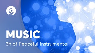 3 Hours of Peaceful amp Relaxing Instrumental Music  Spa Music  Long Playlist  BetterSleep [upl. by Neidhardt825]