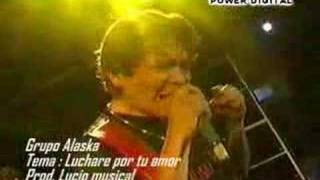 Cumbia Sureña  Grupo Alaska  Luchare por tu amor [upl. by Tfat]