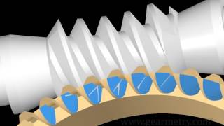 Contact simulation of a double enveloping worm gear Etype [upl. by Ardnekat978]