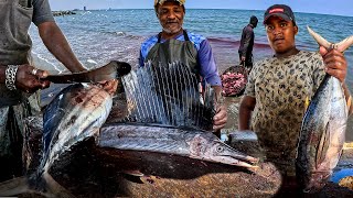 Countryside Around The Sea Fishing Special Rural Fish Market Gopro Superview 4K Fish Cutting Video [upl. by Grodin833]