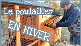 Comment préparer un poulailler pour ses poules pondeuses [upl. by Petronille372]